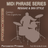 Reggae & Ska Drum Patterns