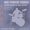 Blues & Rock-n-Roll Drum Beats Complex Time Signatures