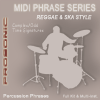 Reggae & Ska Drum Beats Complex Time Signatures