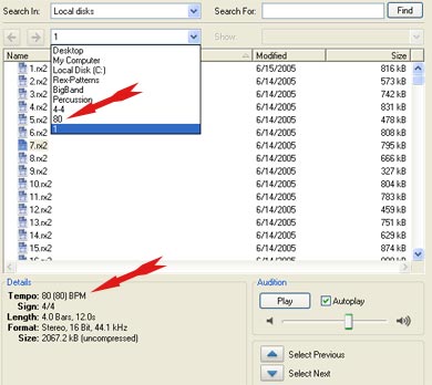 Reason's file browser.