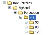 Directory Structure of Rex Patterns