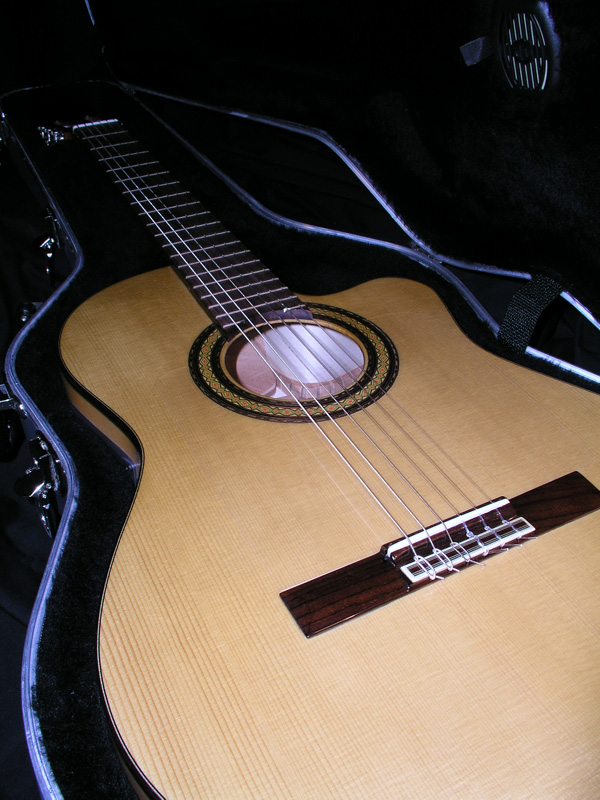 Cordoba CWE-S Classical Nylon String Cutaway Acoustic with Fishman Electronics & Humicase - SOLD!